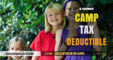 Is Overnight Camp Tax Deductible? A Parent's Guide to Savings