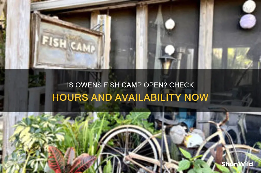 is owens fish camp open