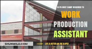 Is PA Boot Camp Necessary for a Production Assistant Career?