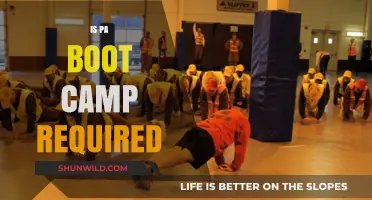 Is PA Boot Camp Necessary for Aspiring Physician Assistants?