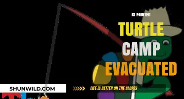 Painted Turtle Camp Evacuation: What Happened and Why?