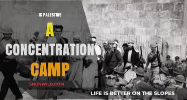 Palestine's Reality: Concentration Camp Allegations and Human Rights Concerns