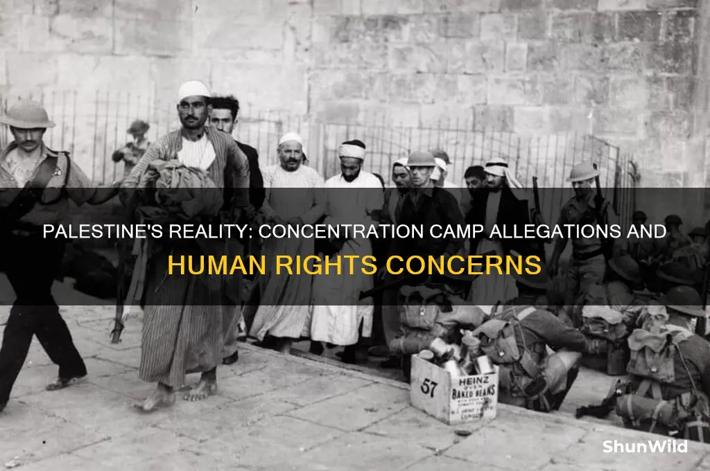 is palestine a concentration camp