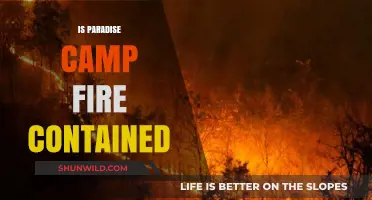 Paradise Camp Fire Update: Is the Blaze Fully Contained Yet?