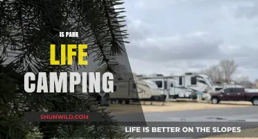 Exploring Park Life Camping: Adventure, Nature, and Outdoor Bliss