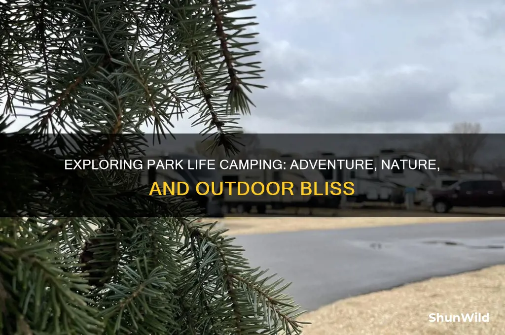 is park life camping