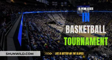 Penn State's Basketball Tournament Chances Examined