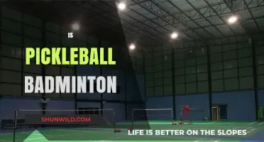 Pickleball vs Badminton: What's the Difference?