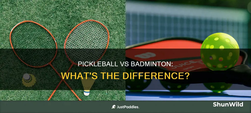 is pickleball badminton