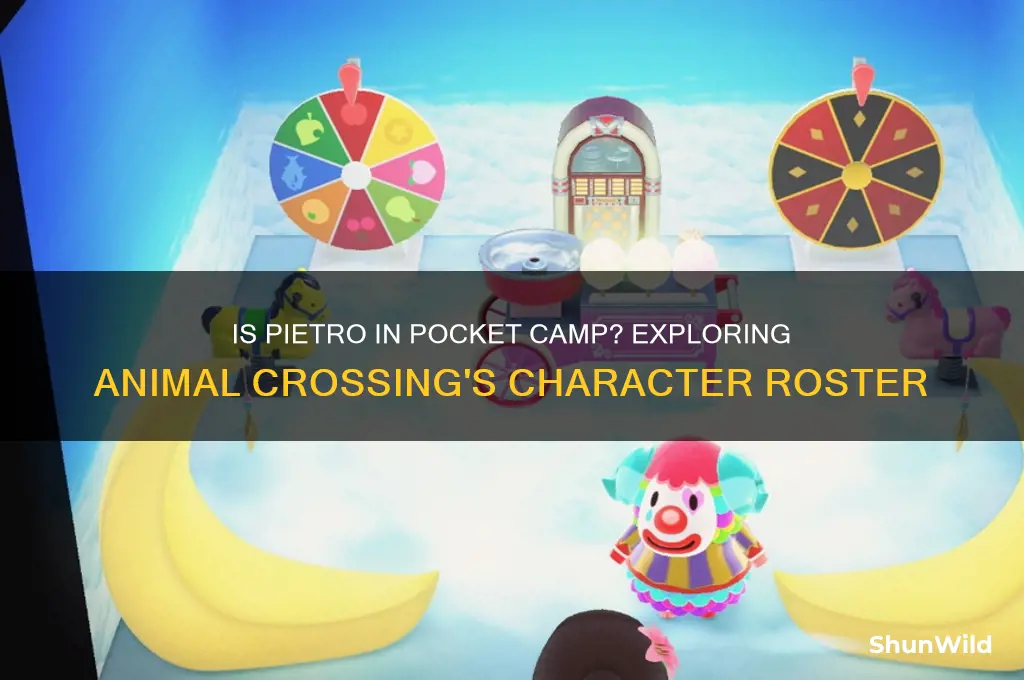 is pietro in pocket camp