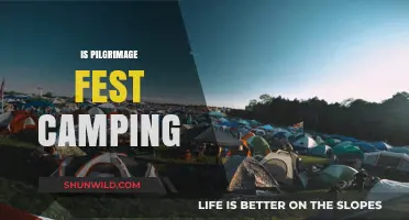 Is Pilgrimage Fest Camping Worth It? A Comprehensive Guide