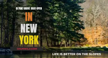 Pine Grove Boat Open in New York: Hours and Details