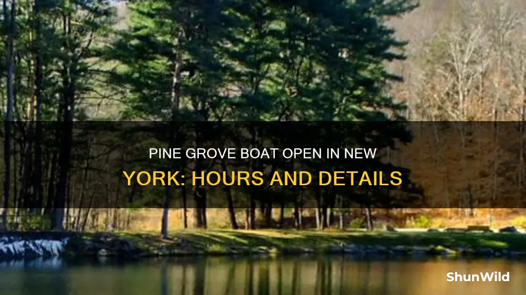 is pine grove boat open in New York