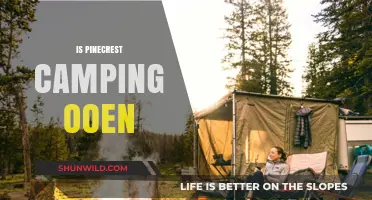 Is Pinecrest Camping Open? Your Guide to Current Status and Tips