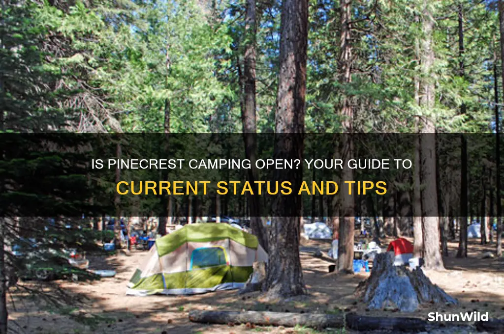 is pinecrest camping ooen