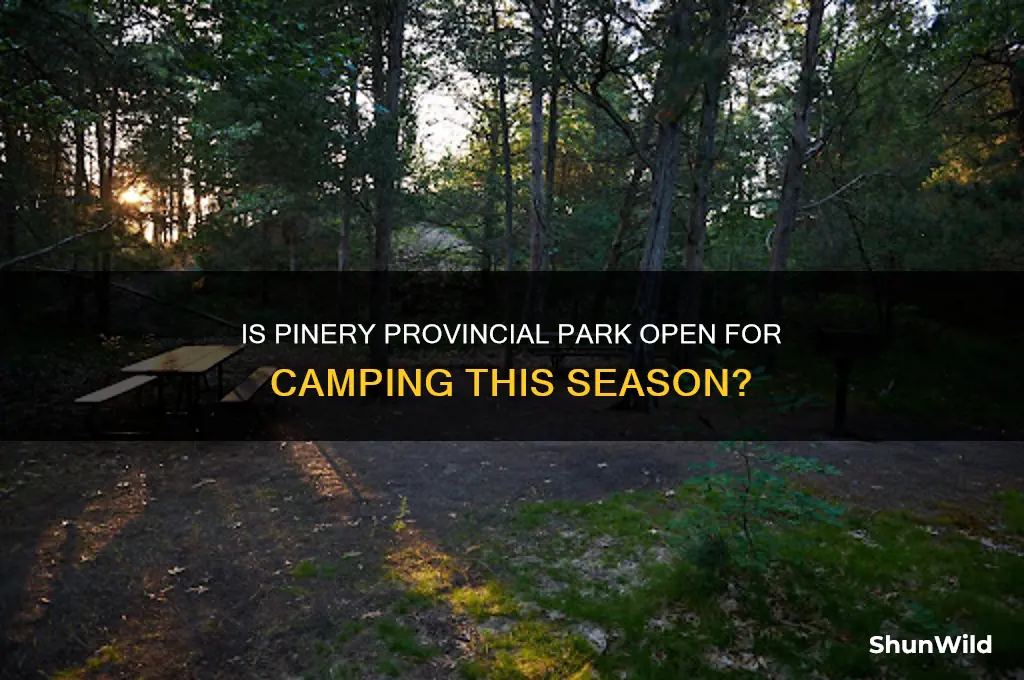 is pinery open for camping