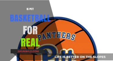 Pitt Basketball: True Contender or Pretender?