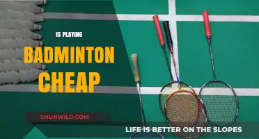 Badminton: An Affordable Sport for All?