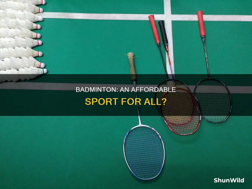 is playing badminton cheap