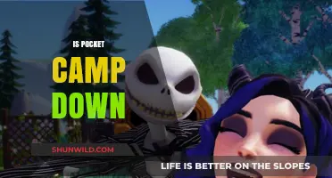 Is Pocket Camp Down? Troubleshooting Tips and Server Status Updates