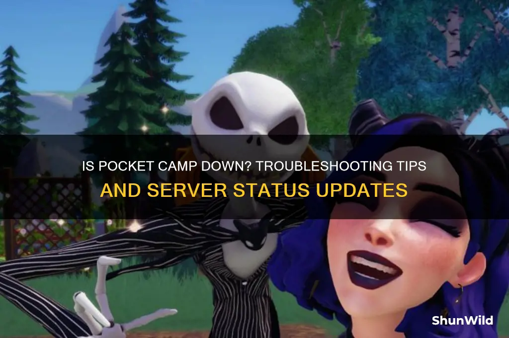 is pocket camp down