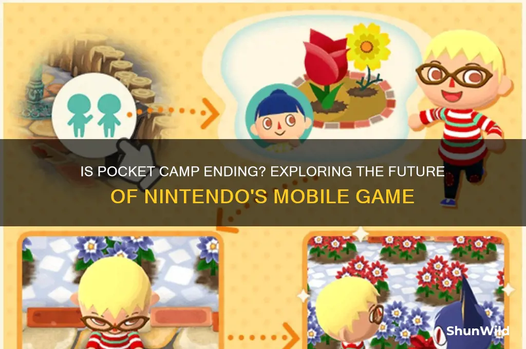 is pocket camp ending