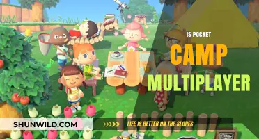Is Pocket Camp Multiplayer? Exploring Social Features in Animal Crossing