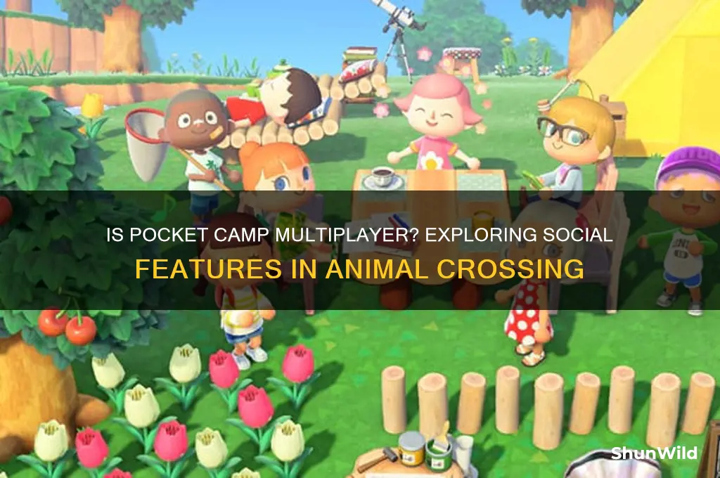 is pocket camp multiplayer