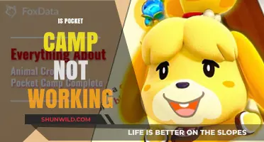 Why Pocket Camp Isn't Working: Troubleshooting Tips and Fixes