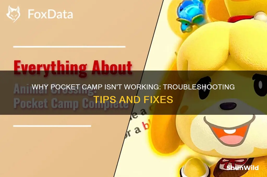 is pocket camp not working
