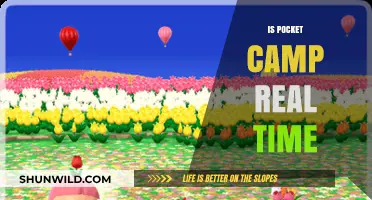 Is Pocket Camp Real Time? Exploring the Game's Time Mechanics