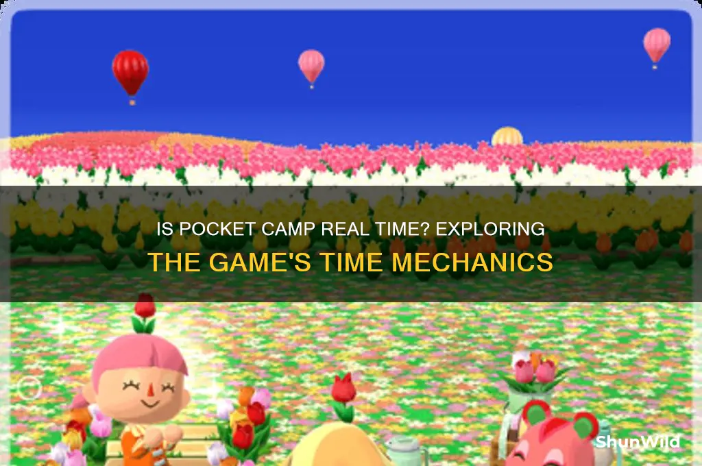 is pocket camp real time