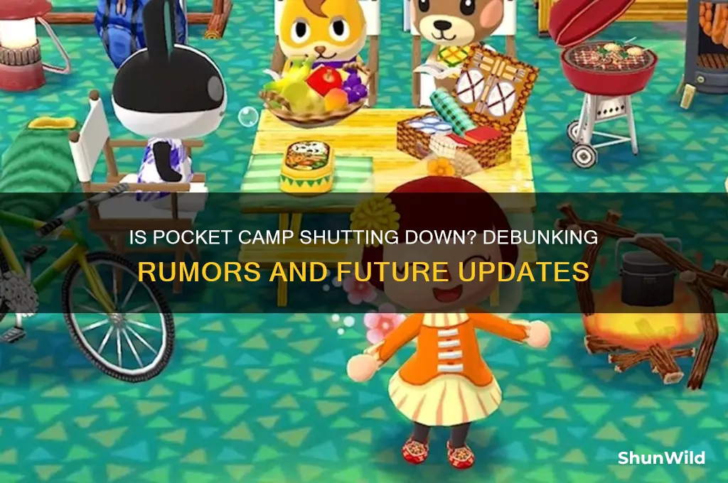 is pocket camp shutting down