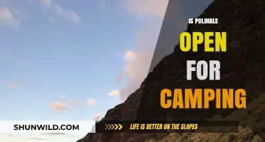 Is Polihale Open for Camping? Latest Updates and Tips