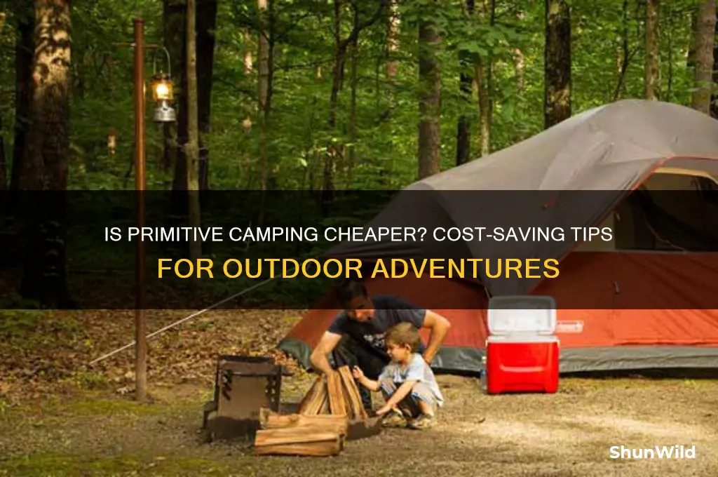 is primitive camping cheaper