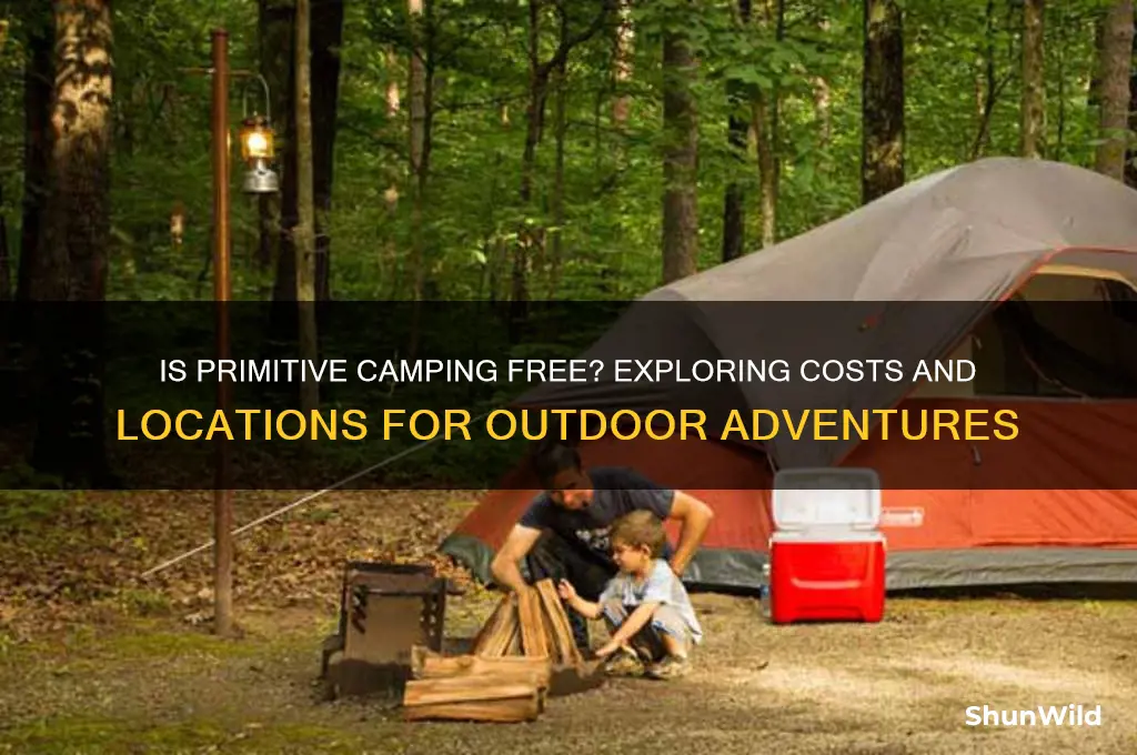 is primitive camping free