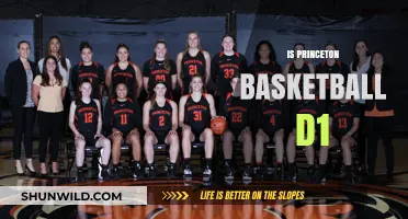 Princeton Basketball: A Top-Tier D1 Program