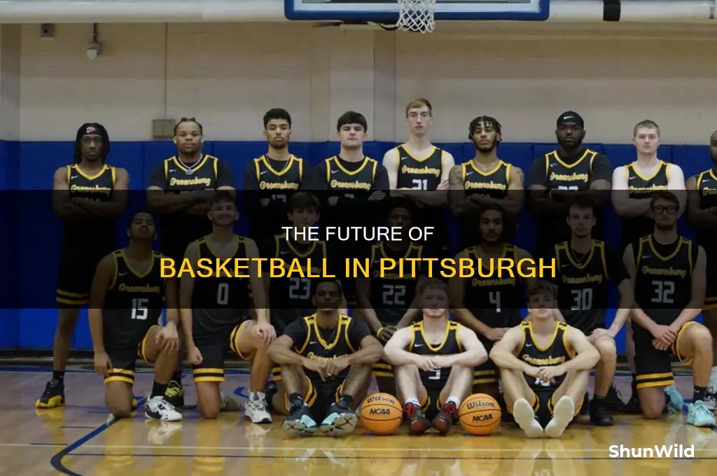 is psl basketball in pittsburgh worth it