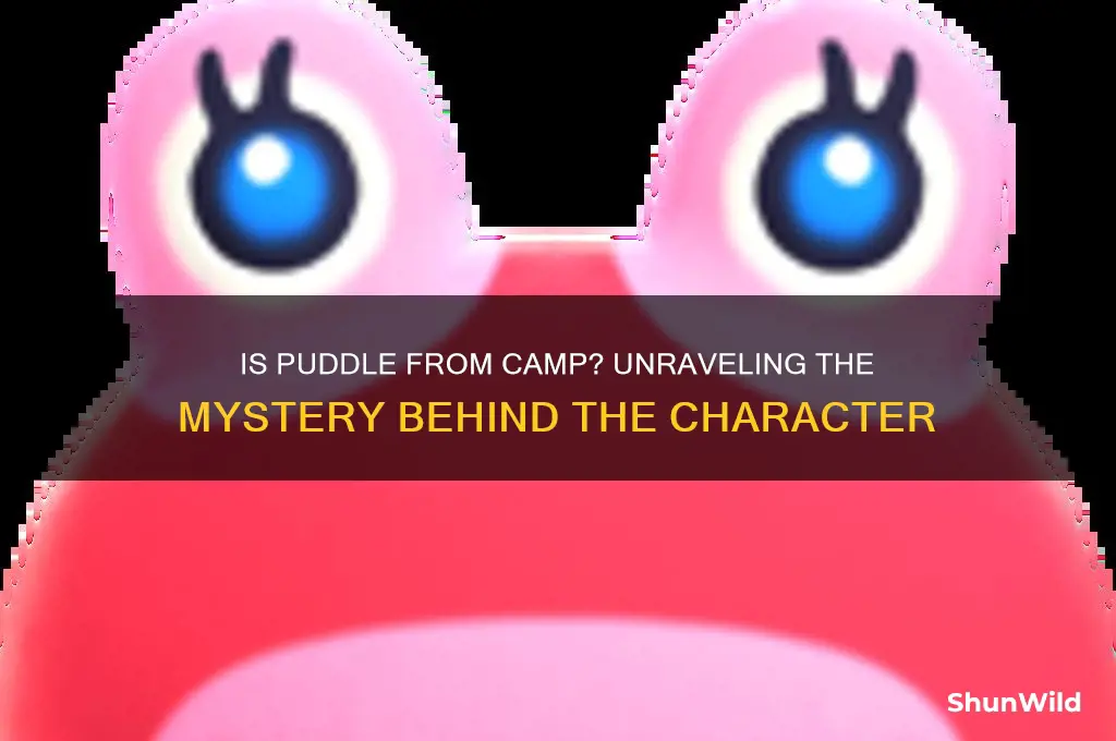 is puddle from camp