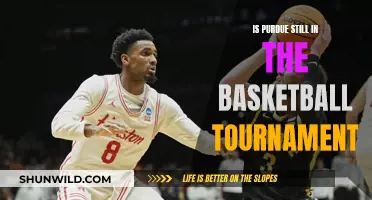 Purdue's Basketball Tournament Journey: Is It Over?