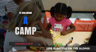 Exploring Quillmane: Unveiling the Truth About Its Camp Status