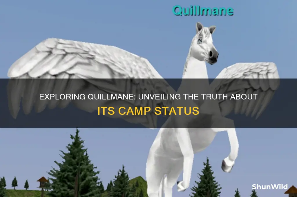 is quillmane a camp
