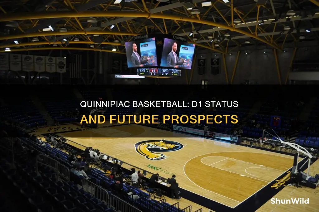 is quinnipiac d1 basketball