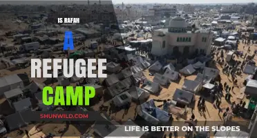 Is Rafah a Refugee Camp? Unraveling the Complex History and Reality