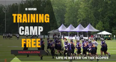 Is Ravens Training Camp Free? Everything Fans Need to Know