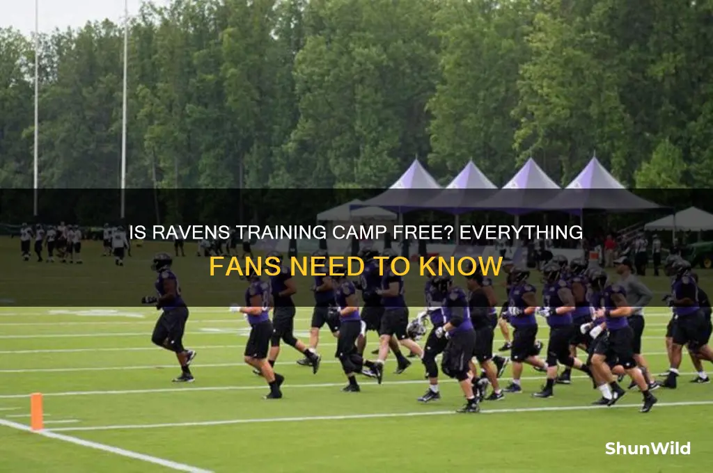 is ravens training camp free