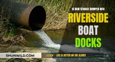 Sewage Pollution: Rivers, Boat Docks, and Raw Waste