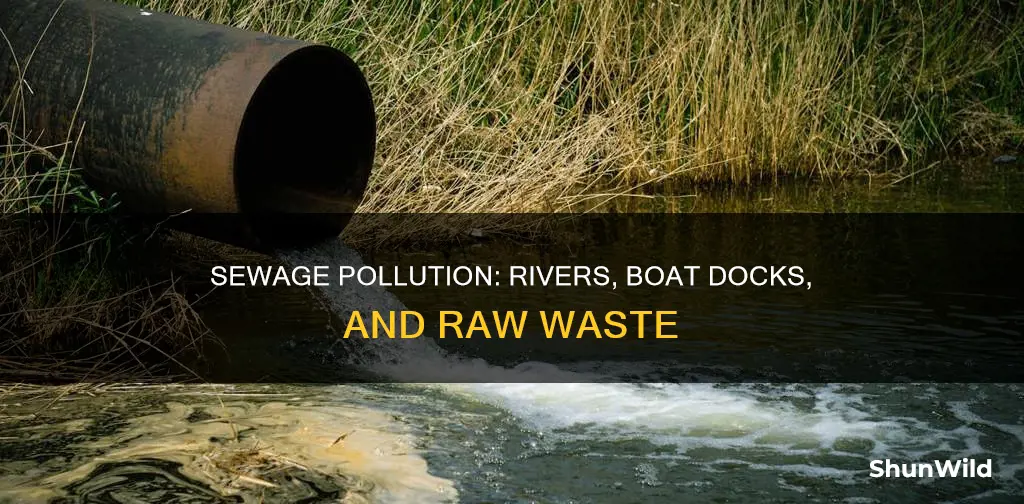 is raw sewage dumped into riverside boat docks