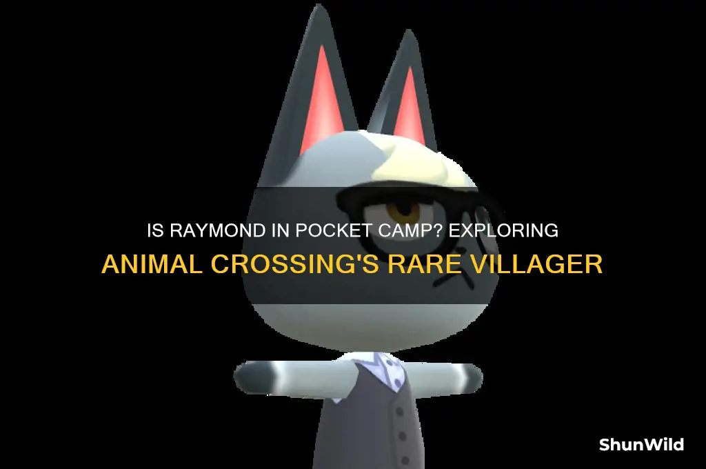 is raymond in pocket camp