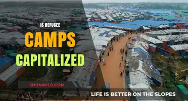 Is 'Refugee Camps' Capitalized? Grammar Rules Explained